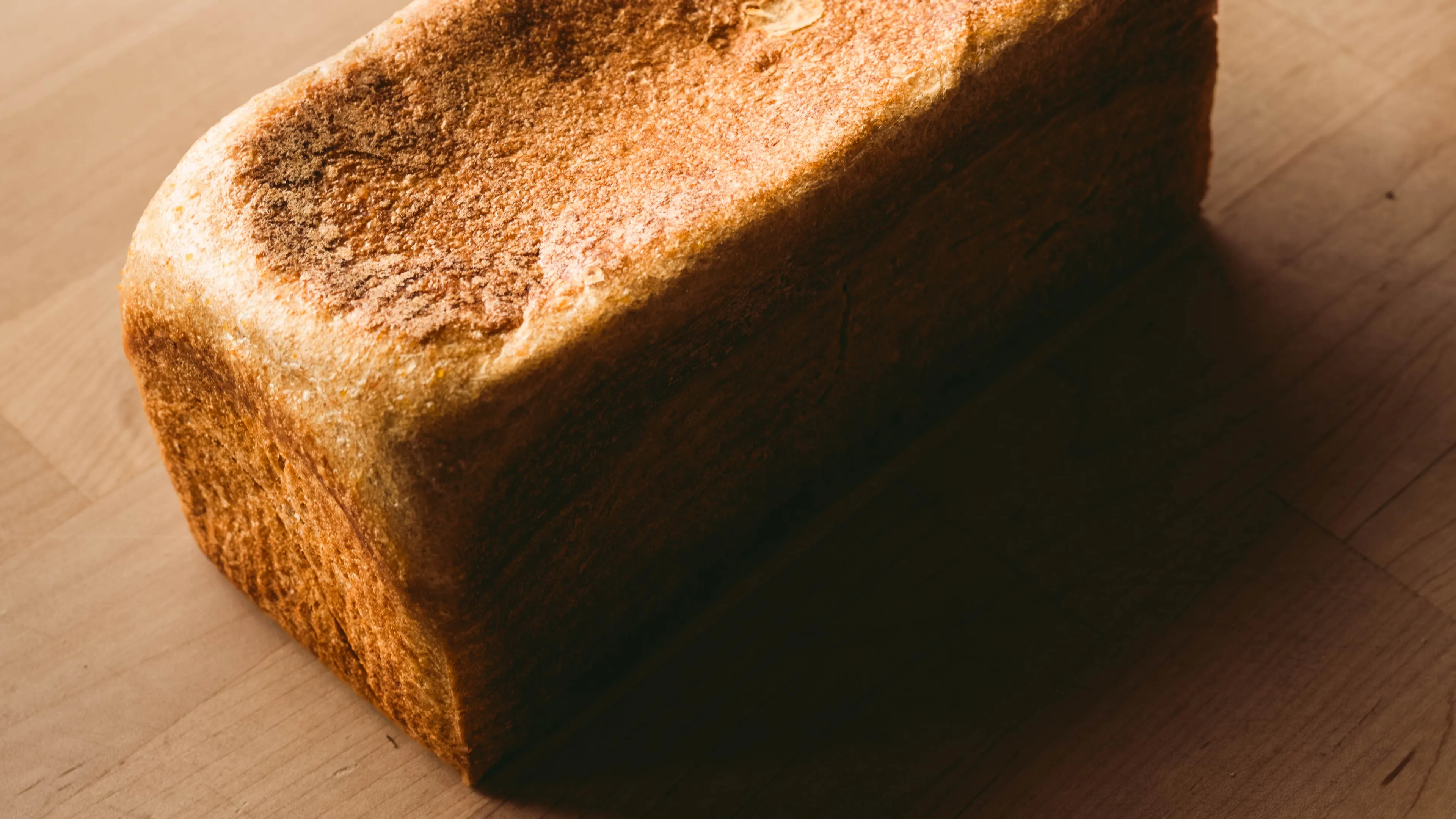 Jessica Rather Portfolio - 2025