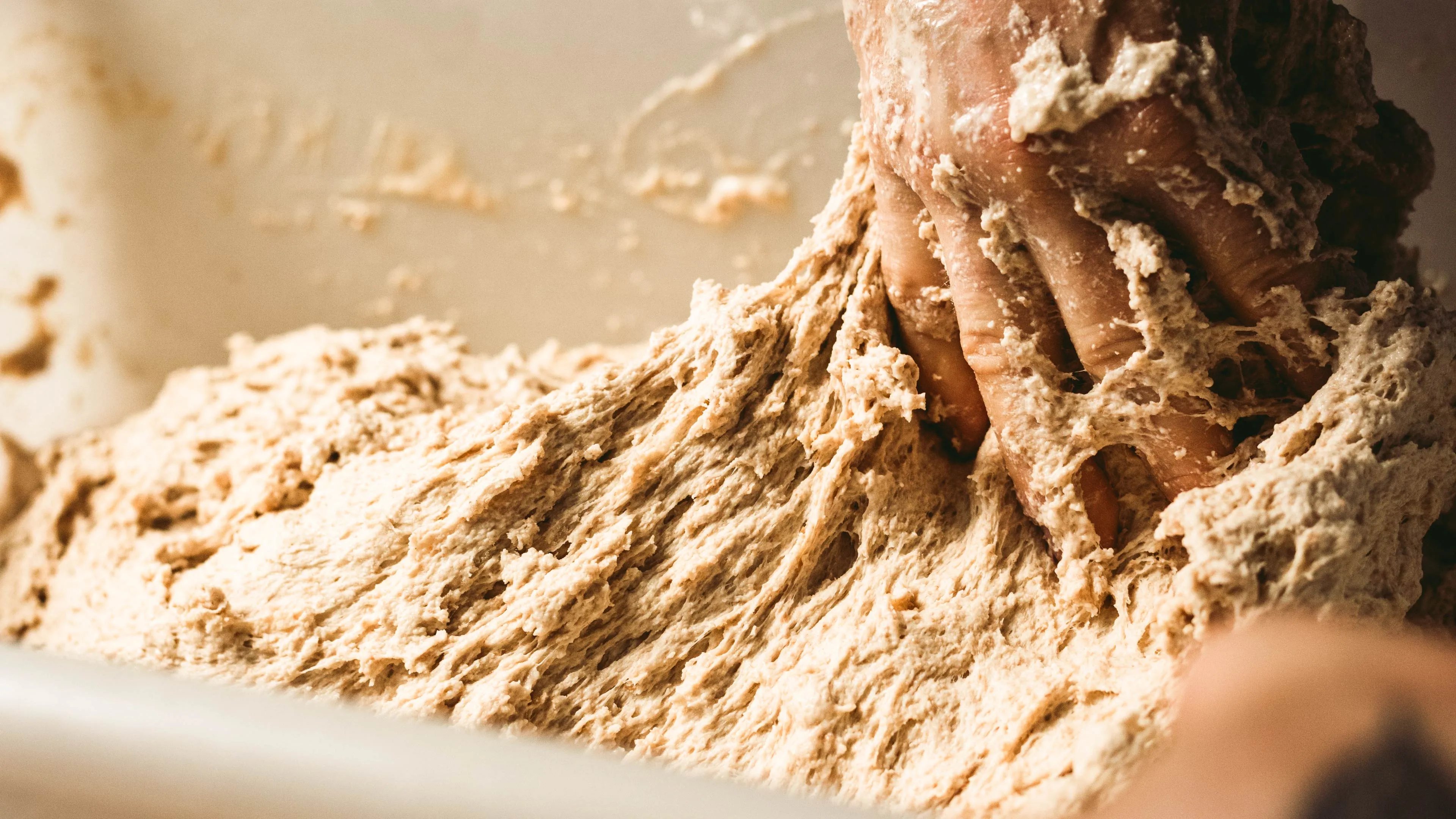 Jessica Rather Portfolio - 2025